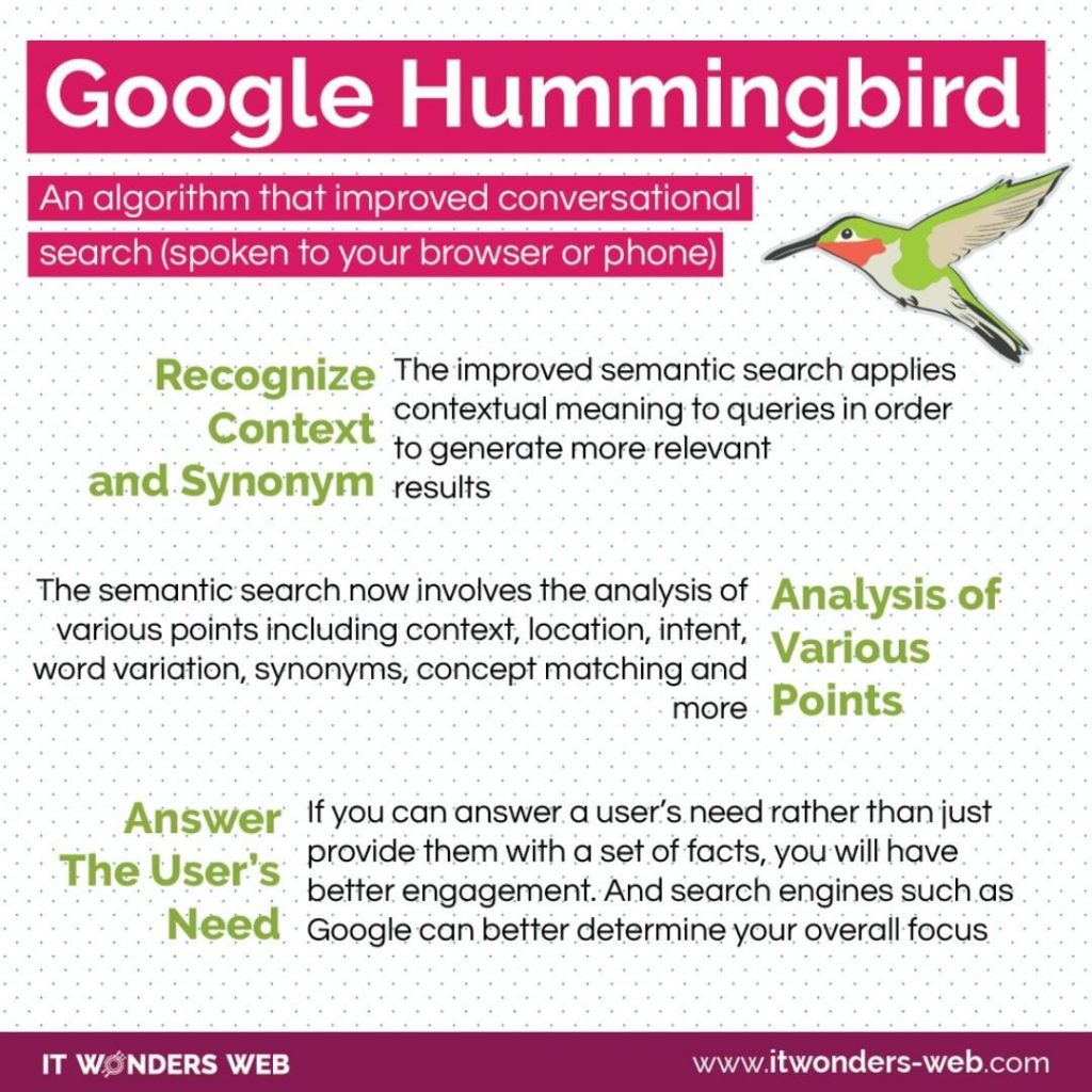 Hummingbird seo infographic